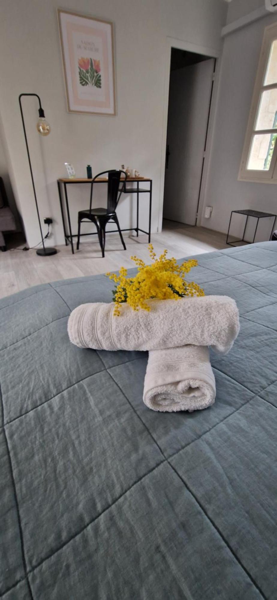 Mas Armelin Bed and Breakfast Tarascon Værelse billede